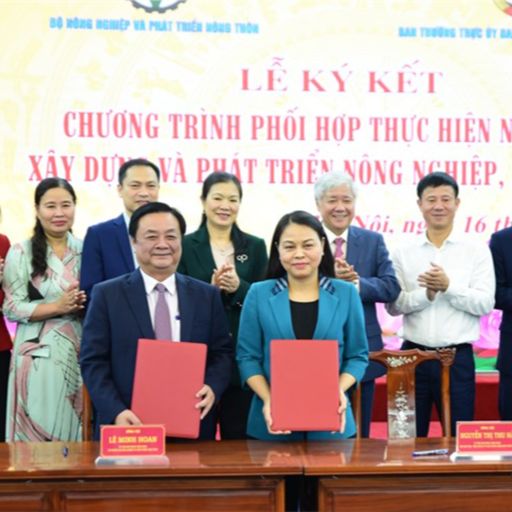 Ep6907: Tin trong nước - Xây dựng và phát triển nông nghiệp, nông thôn: những gì có lợi cho nông dân phải nỗ lực làm