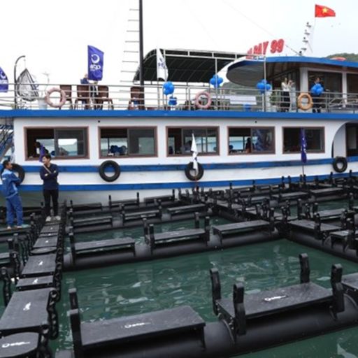 Ep6933: Tin trong nước - Hạ thủy cụm lồng bè nuôi trồng thủy sản kết hợp du lịch kiểu mới tại Cát Bà (Hải Phòng)