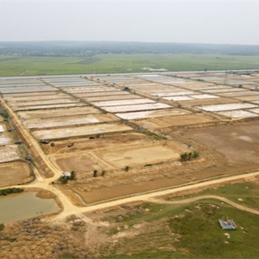 Ep7696: Tin trong nước - Quảng Trị: Lo ngại nguồn nước sông ô nhiễm, người nuôi tôm không dám thả nuôi image