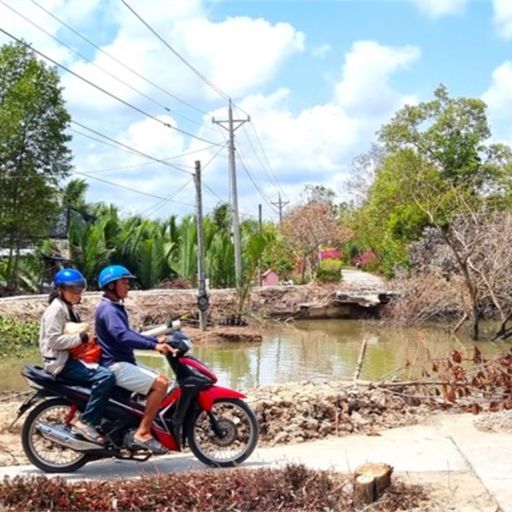 Ep7697: Tin trong nước - Cà Mau: Nan giải tình trạng sạt lở ven sông ngay trong mùa khô  image