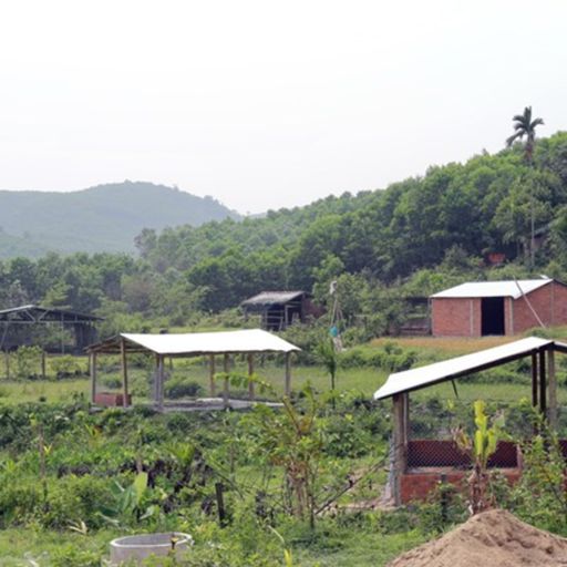 Ep7709: Tin trong nước - Quảng Nam: Tháo dỡ hàng loạt công trình xây dựng trái phép chờ đền bù image