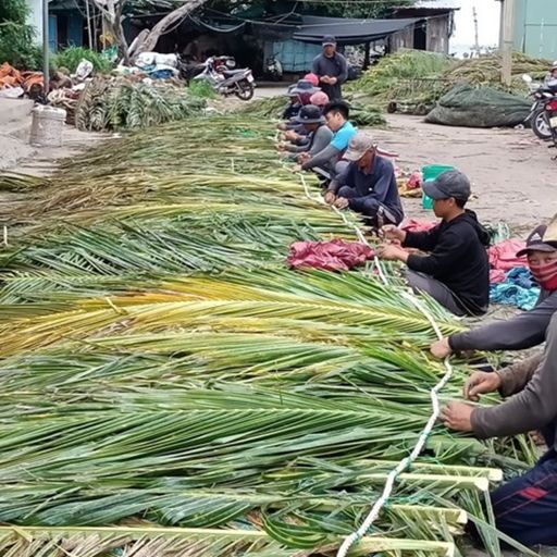 Ep7713: Tin trong nước - Ngư dân Bình Thuận làm “nhà” cho cá image