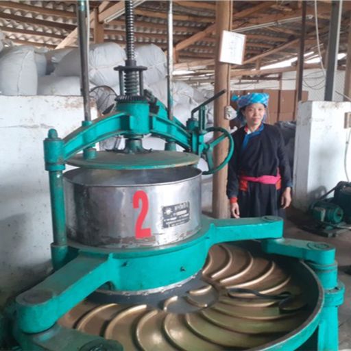 Ep7726: Tin trong nước -Phát huy sức trẻ trong công tác chuyển đổi số image