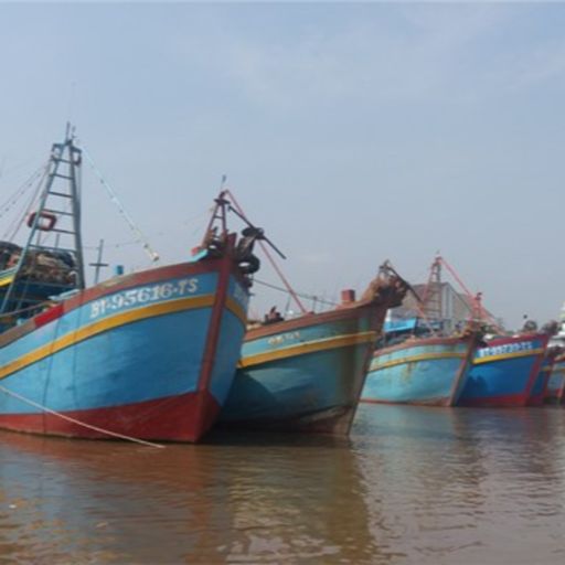 Ep7745: Tin trong nước - Bến Tre: Tiếp tục quản lý chặt tàu cá không để vi phạm IUU  image