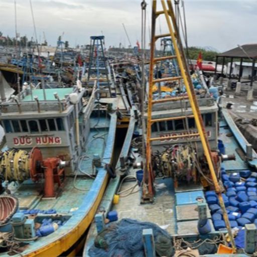 Ep7793: Tin trong nước - Không có lao động đi biển, chủ tàu cá ở Bà Rịa - Vũng Tàu chồng chất khó khăn image