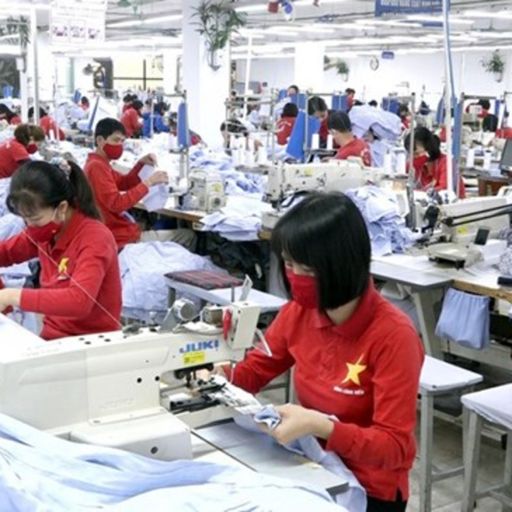 Ep7866: Tin trong nước - Doanh nghiệp dệt may: Linh hoạt ứng phó với biến động thị trường  image