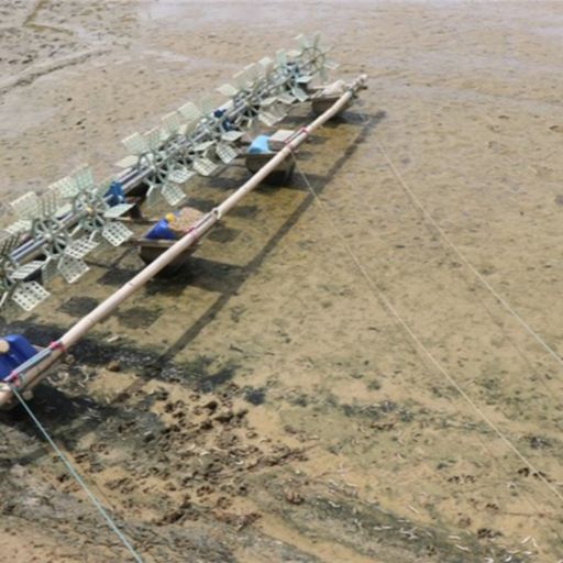 Ep8392: Tin trong nước - Quảng Trị: Tôm nuôi chết hàng loạt trên diện rộng image