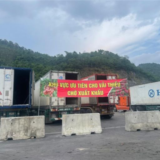 Ep8453: Tin trong nước - Lạng Sơn tạo điều kiện thuận lợi cho vải thiều xuất khẩu image