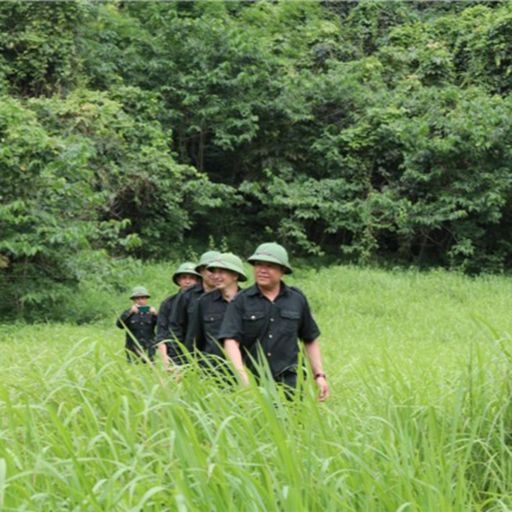 Ep8486: Tin trong nước - Những người giữ rừng Đông Bắc image