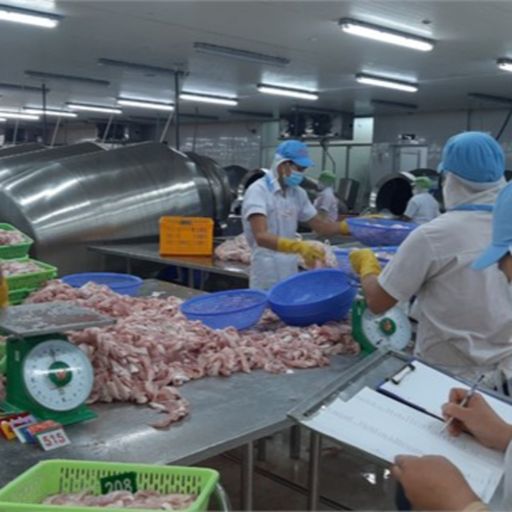 Ep8494: Tin trong nước - Tiền Giang: Tìm cách tháo gỡ khó khăn cho doanh nghiệp may mặc, thủy sản image