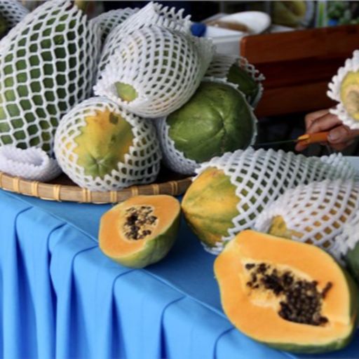 Ep8500: Tin trong nước - Nông dân Bà Rịa - Vũng Tàu đưa sầu riêng, bơ, cà phê ra chợ nông sản image