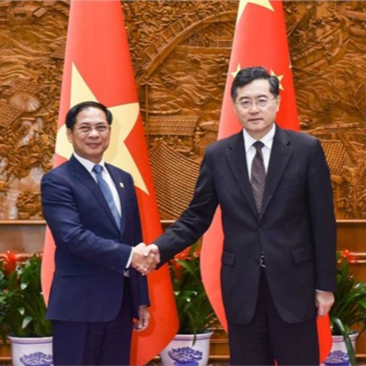 Ep8529: Tin trong nước - Bộ trưởng Ngoại giao Bùi Thanh Sơn gặp Ủy viên Quốc vụ, Bộ trưởng Ngoại giao Trung Quốc Tần Cương image