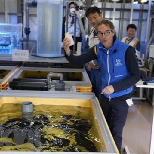 Ep8742: Tin quốc tế - Tổng Giám đốc IAEA tới Hàn Quốc trấn an vụ nước thải Fukushima  image