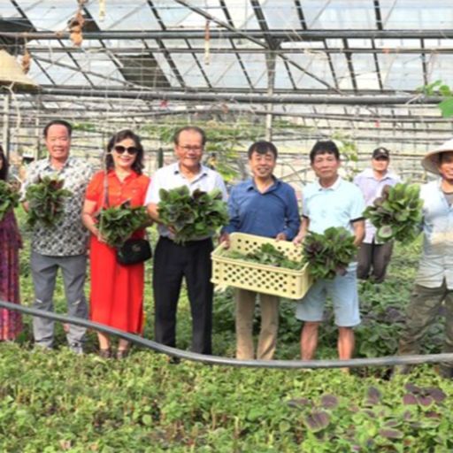 Ep8776: Tin trong nước - Người Việt làm giàu trên những thửa ruộng của Czech image