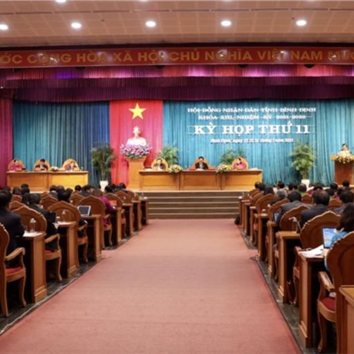 Ep8811: Tin trong nước - Cử tri Bình Định lo lắng trước các vụ lừa đảo cho vay nặng lãi, lừa đảo công nghệ cao  image
