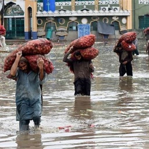 Ep8842: Tin quốc tế - IMF phê duyệt gói cứu trợ 3 tỷ USD cho Pakistan để ổn định nền kinh tế image