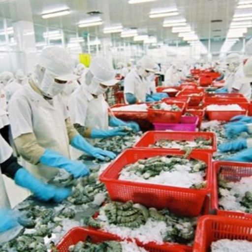 Ep8873: Tin trong nước - Thủy sản phục hồi xuất khẩu những tháng cuối năm image