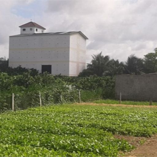 Ep9066: Tin trong nước - Tiền Giang: Năng suất giảm mạnh, người nuôi chim yến thất thu  image