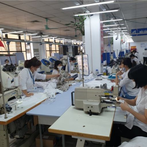 Ep9077: Tin trong nước - Bảo vệ lao động không rơi vào đói nghèo image