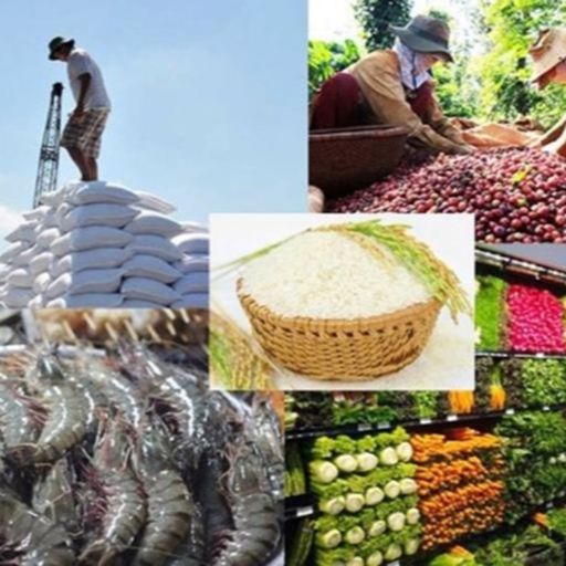 Ep9087: Tin trong nước - 7 tháng, xuất khẩu nông lâm, thủy sản vào các nước ASEAN tăng mạnh image