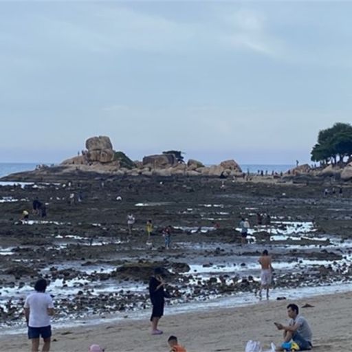 Ep9118: Tin trong nước - Khánh Hòa: Đặt phao phân vùng để bảo vệ rạn san hô Hòn Chồng  image
