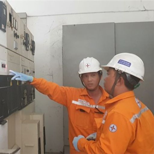 Ep9603: Tin trong nước - EVNHCMC đảm bảo cung cấp điện cho kỳ nghỉ Lễ Quốc khánh  image