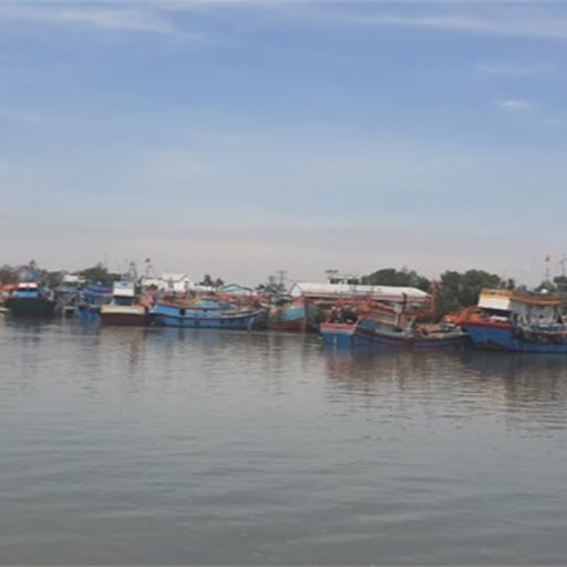 Ep9606: Tin trong nước - Tiền Giang: Không để xảy ra tàu cá vi phạm IUU image