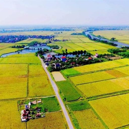 Ep9613: Tin trong nước - Mở rộng đối tượng chuyển nhượng đất- Tránh đầu cơ, không sản xuất nông nghiệp  image
