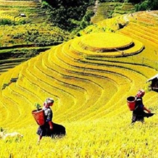 Ep9651: Tin trong nước - Thị trường du lịch kỳ nghỉ lễ 2/9 có được như kỳ vọng? image