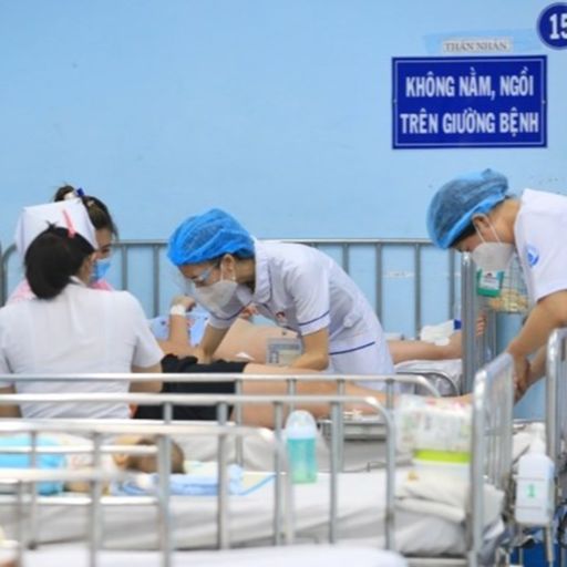 Ep9680: Tin trong nước - Hà Nội ghi nhận hơn 1000 ca mắc sốt xuất huyết/tuần image