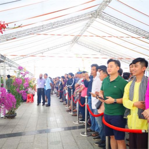 Ep9705: Tin trong nước - Mãn nhãn với 500 tác phẩm hoa lan được triển lãm tại Cần Thơ  image