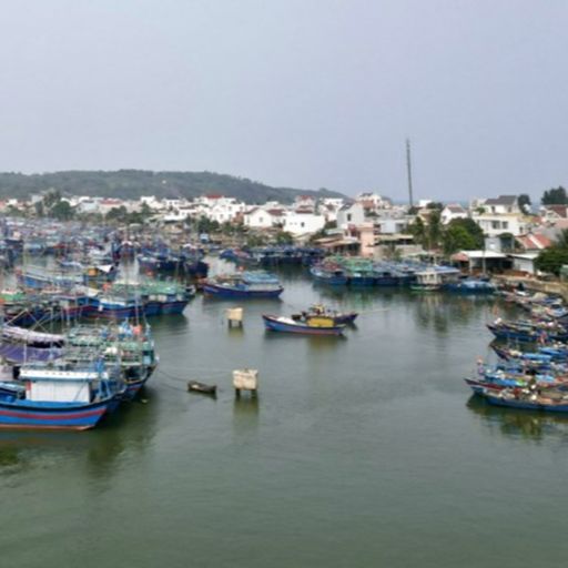 Ep9736: Tin trong nước - Bộ NN&PTNT: Chống khai thác IUU, tăng cường quản lý đội tàu ở các địa phương image