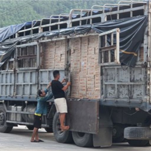 Ep9988: Tin trong nước - Vì sao hàng hoá thông quan qua cửa khẩu Cầu Treo giảm mạnh?  cover