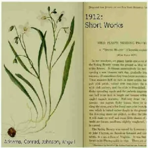 1912: Short Works Collection