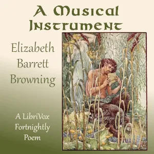 Musical Instrument