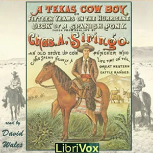 Texas Cowboy; Or Fifteen Years on the Hurricane Deck of a Spanish Pony