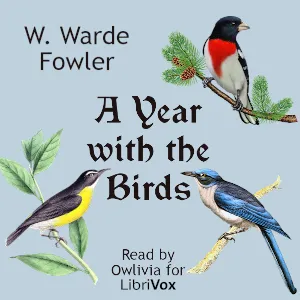 Year with the Birds