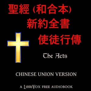 聖經 (和合本) 新約:使徒行傳 (Acts)