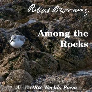 Among The Rocks