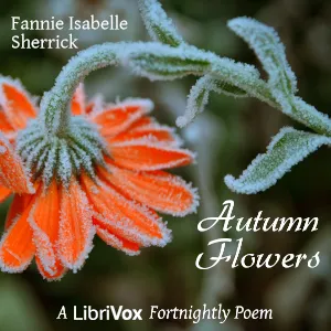 Autumn Flowers
