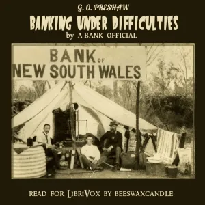 Banking Under Difficulties