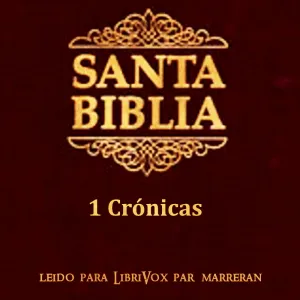 Bible (Reina Valera) 13: 1 Crónicas