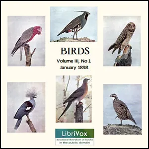 Birds, Vol. III, No 1, January 1898