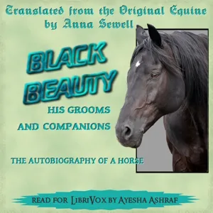 Black Beauty (version 4)