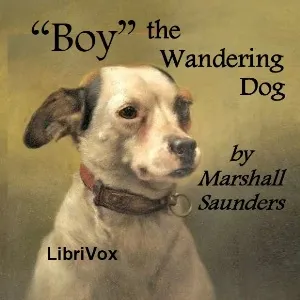 "Boy" The Wandering Dog