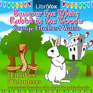 Bumper the White Rabbit in the Woods