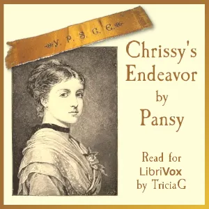 Chrissy's Endeavor