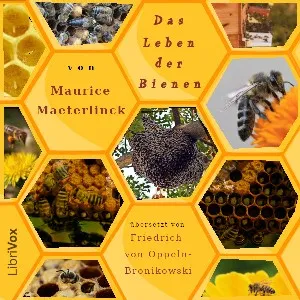 Leben der Bienen