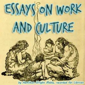 Essays on Work and Culture