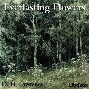 Everlasting Flowers